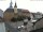 Webcam in Roßwein, 28.6 km entfernt