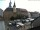 Webcam in Roßwein, 27.1 km entfernt