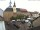 Webcam in Roßwein, 20.3 km