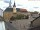 Webcam in Roßwein, 2.8 mi away