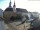 Webcam in Roßwein, 51.4 km