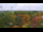 Webcam in Beelitz, 18.6 km entfernt