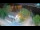 Webcam in Ika, 0.5 mi away