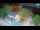 Webcam in Ika, 1.5 mi away