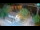 Webcam in Ika, 13.6 km