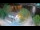 Webcam in Ika, 0.5 mi away