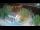 Webcam in Ika, 3.9 km
