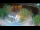 Webcam in Ika, 3.8 km