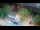 Webcam in Ika, 0.5 mi away