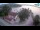 Webcam in Ika, 3.9 km