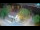 Webcam in Ika, 0.1 mi away