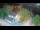 Webcam in Ika, 0.5 mi away