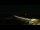 Webcam in Digoin, 28.6 mi away