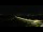 Webcam in Digoin, 84.3 km