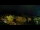 Webcam in Killington Village, Vermont, 53.2 km entfernt