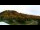 Webcam in Killington Village, Vermont, 118.9 km