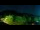 Webcam in Killington Village, Vermont, 132.2 km