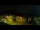 Webcam in Killington Village, Vermont, 57.4 mi away
