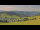 Webcam in Todtnauberg, 7.1 mi away