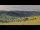Webcam in Todtnauberg, 7.1 mi away