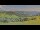 Webcam in Todtnauberg, 9.6 km