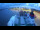 Webcam auf der Frisia III, 5.6 km entfernt