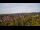 Webcam in Rottweil, 24.5 km