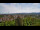 Webcam in Rottweil, 8.9 mi away