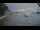 Webcam in Stechlin, 18.8 mi away