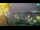 Webcam in Bol (Brac), 6.7 mi away