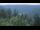 Webcam in Bad Wildbad, 24.1 km