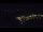 Webcam in Bad Wildbad, 14 mi away
