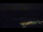 Webcam in Bad Wildbad, 11.7 mi away