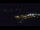 Webcam in Bad Wildbad, 11.8 mi away