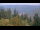 Webcam in Bad Wildbad, 10 mi away