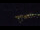 Webcam in Bad Wildbad, 14.2 mi away