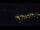 Webcam in Bad Wildbad, 10 mi away