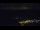 Webcam in Bad Wildbad, 7.9 mi away