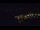 Webcam in Bad Wildbad, 13.8 mi away