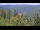 Webcam in Bad Wildbad, 17.2 km