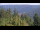 Webcam in Bad Wildbad, 11.7 mi away