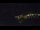 Webcam in Bad Wildbad, 10 mi away