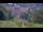 Webcam in Bad Wildbad, 21.8 km
