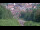 Webcam in Bad Wildbad, 37.4 km entfernt