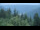 Webcam in Bad Wildbad, 1.3 km