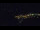 Webcam in Bad Wildbad, 13.8 mi away