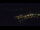 Webcam in Bad Wildbad, 13.8 mi away