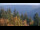 Webcam in Bad Wildbad, 11.9 mi away