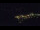 Webcam in Bad Wildbad, 14 mi away