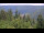 Webcam in Bad Wildbad, 10 mi away